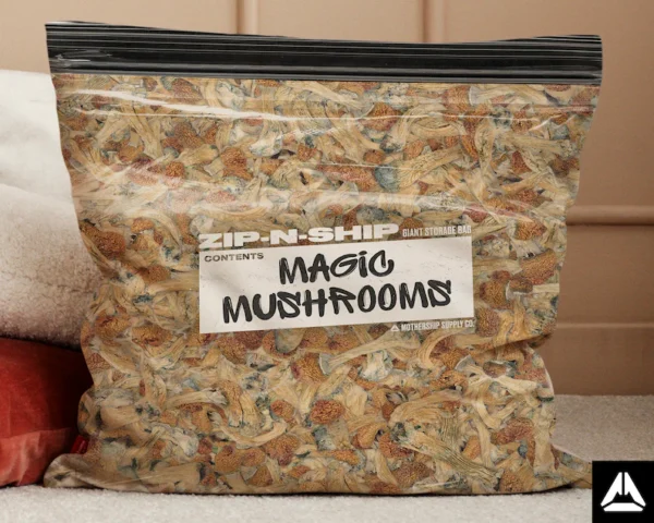 shrooms near me
