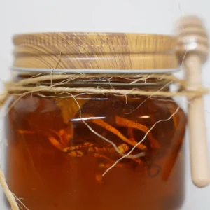 Indiana honey mushroom